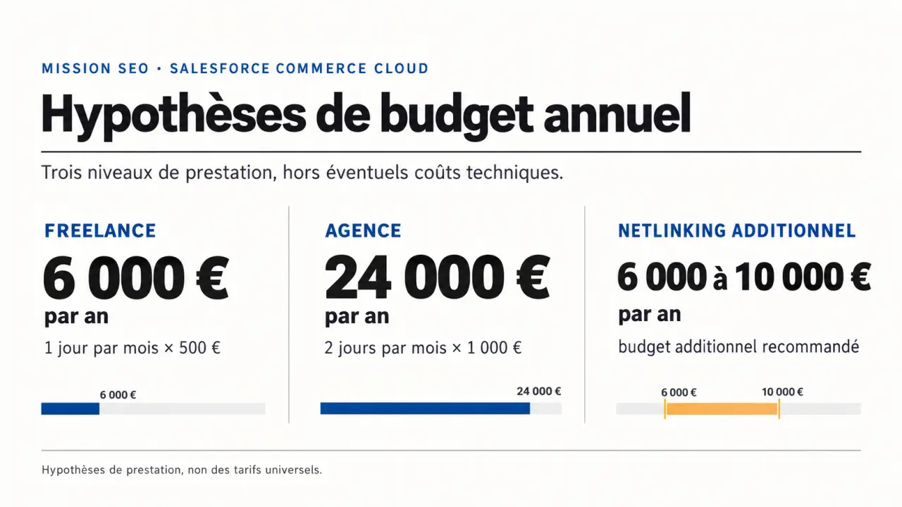 Agence SEO salesforces : visualisation des hypothèses de budgets annuels pour Salesforce Commerce Cloud